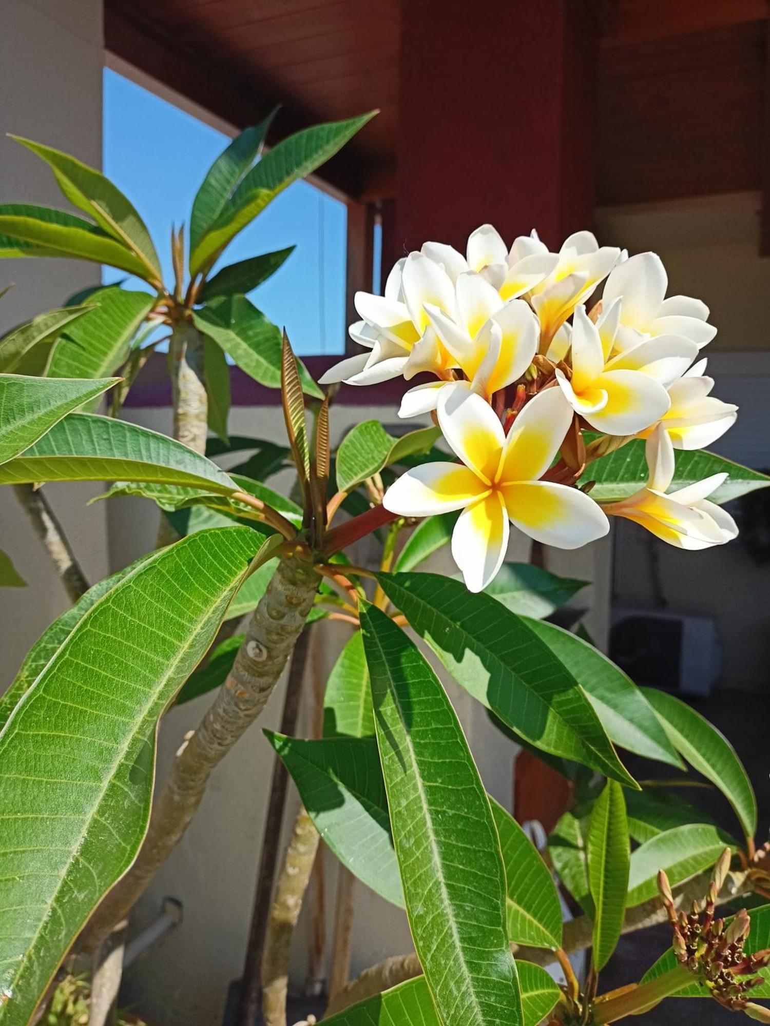 Doma Rooftop Apartment Heraklion Zewnętrze zdjęcie